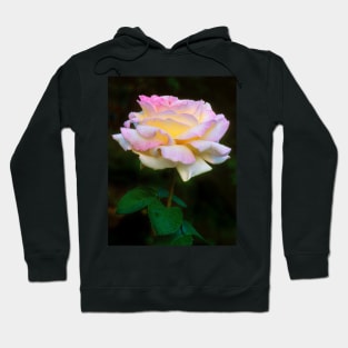 Summer Shower Rose Hoodie